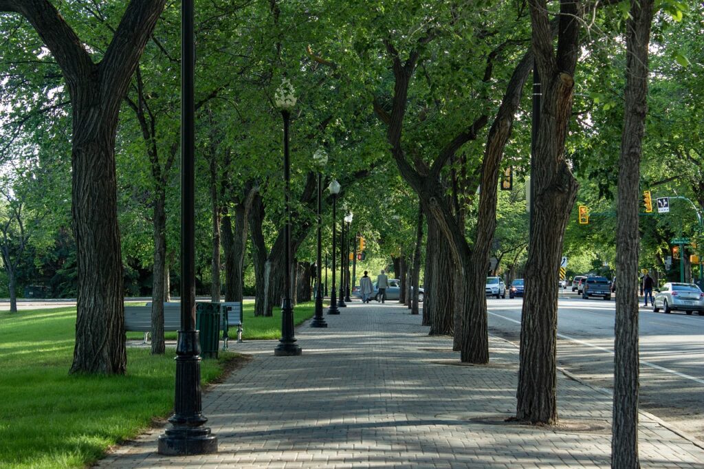 A lovely view of the sidewalk along Spadina in downtown Saskatoon.